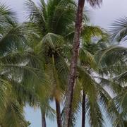 Le Gosier 13/12/2019