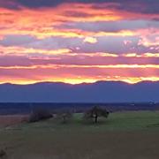 Engwiller 15/12/2019