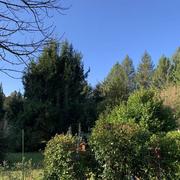 Sauveterre-la-Lémance 21/12/2019