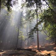 Siem Reap 21/12/2019