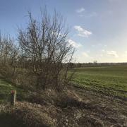 Corme-Royal 24/12/2019