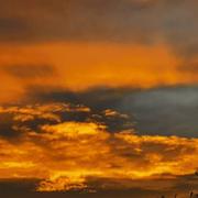 Achicourt 26/12/2019