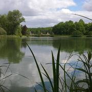 Bouconville-Vauclair 28/12/2019