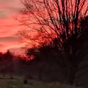 Colombiers 29/12/2019