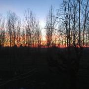 Corbarieu 30/12/2019