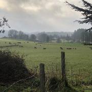 Mourioux-Vieilleville 02/01/2020