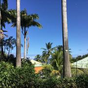 Sainte-Marie 03/01/2020