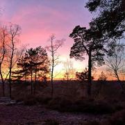 Poigny-la-Forêt 05/01/2020