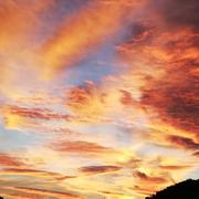 Mandagout 07/01/2020