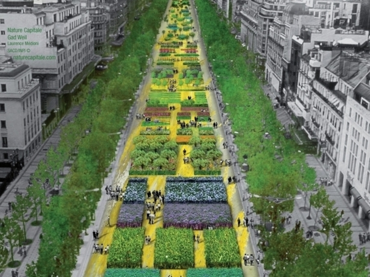Paris Les Champs Elysees Transformes En Jardin Actualites La Chaine Meteo