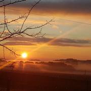 Castelnau-de-Guers 10/01/2020