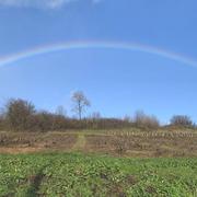 Saint-Julien 10/01/2020