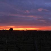 Saint-Pierre-d'Oléron 15/01/2020