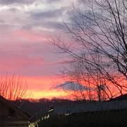 Brosville 15/01/2020