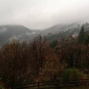 Mandagout 17/01/2020