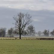 Meursault 18/01/2020