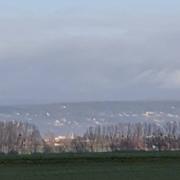 Meursault 18/01/2020