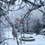 Vernet-les-Bains 21/01/2020