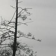 Casseneuil 24/01/2020