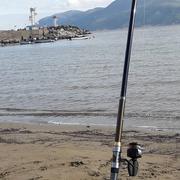 Constantine 26/01/2020