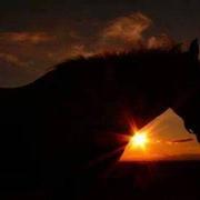 Rebourguil 28/01/2020