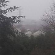 Les Sorinières 30/01/2020