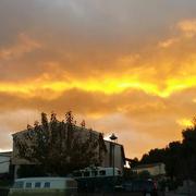 Saint-Laurent-des-Arbres 31/01/2020