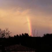 Saint-Laurent-des-Arbres 31/01/2020