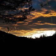 Goudargues 02/02/2020