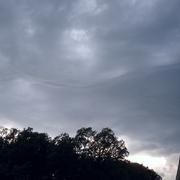 Puygaillard-de-Lomagne 26/05/2010