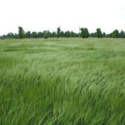 Hédé-Bazouges 30/05/2010