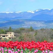 Berre-les-Alpes 20/03/2020