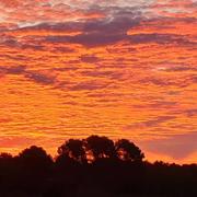 Puyloubier 24/03/2020