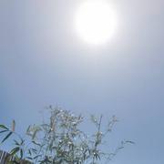 Saint-Martin-de-Valgalgues 25/03/2020