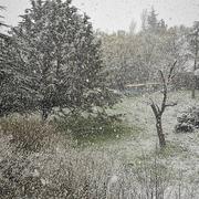 Méounes-lès-Montrieux 25/03/2020