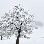 Laroque-de-Fa 26/03/2020