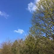 Sainte-Geneviève-lès-Gasny 29/03/2020