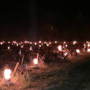 Monnières 29/03/2020