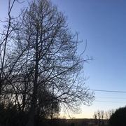 Sainte-Geneviève-lès-Gasny 30/03/2020