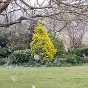 Sablonceaux 30/03/2020