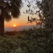 Sargé-sur-Braye 01/04/2020