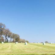 Montgermont 01/04/2020