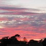 Saint-Vincent-sur-Jard 07/04/2020