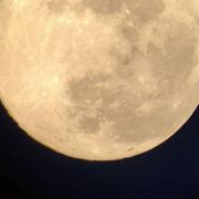 Rouilly-Saint-Loup 09/04/2020