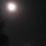 Elbeuf 10/04/2020