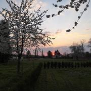 Calleville 10/04/2020