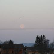 Métabief 10/04/2020