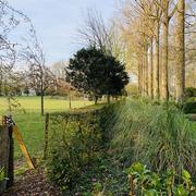 Maizicourt 11/04/2020