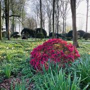 Maizicourt 11/04/2020