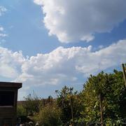 Hondschoote 12/04/2020